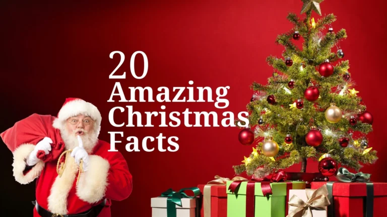 20 Amazing Christmas Facts You Need To Know