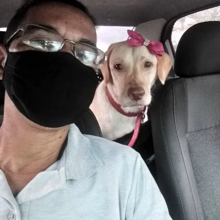 40 Adorable Photos of This Taxi Driver With the Passengers of His ‘Pet Taxi’ Business